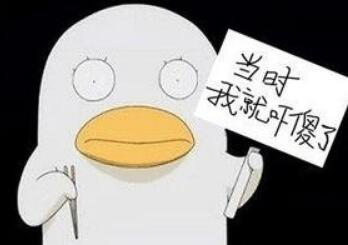 小帅机器人 小帅机器人